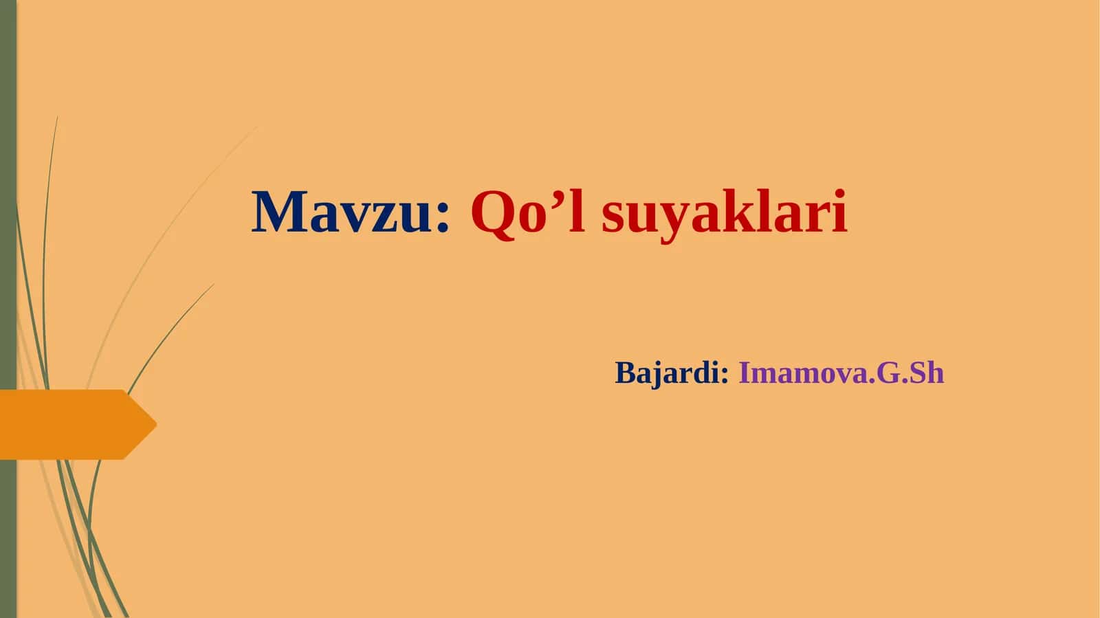 Qo’lsuyaklari 1