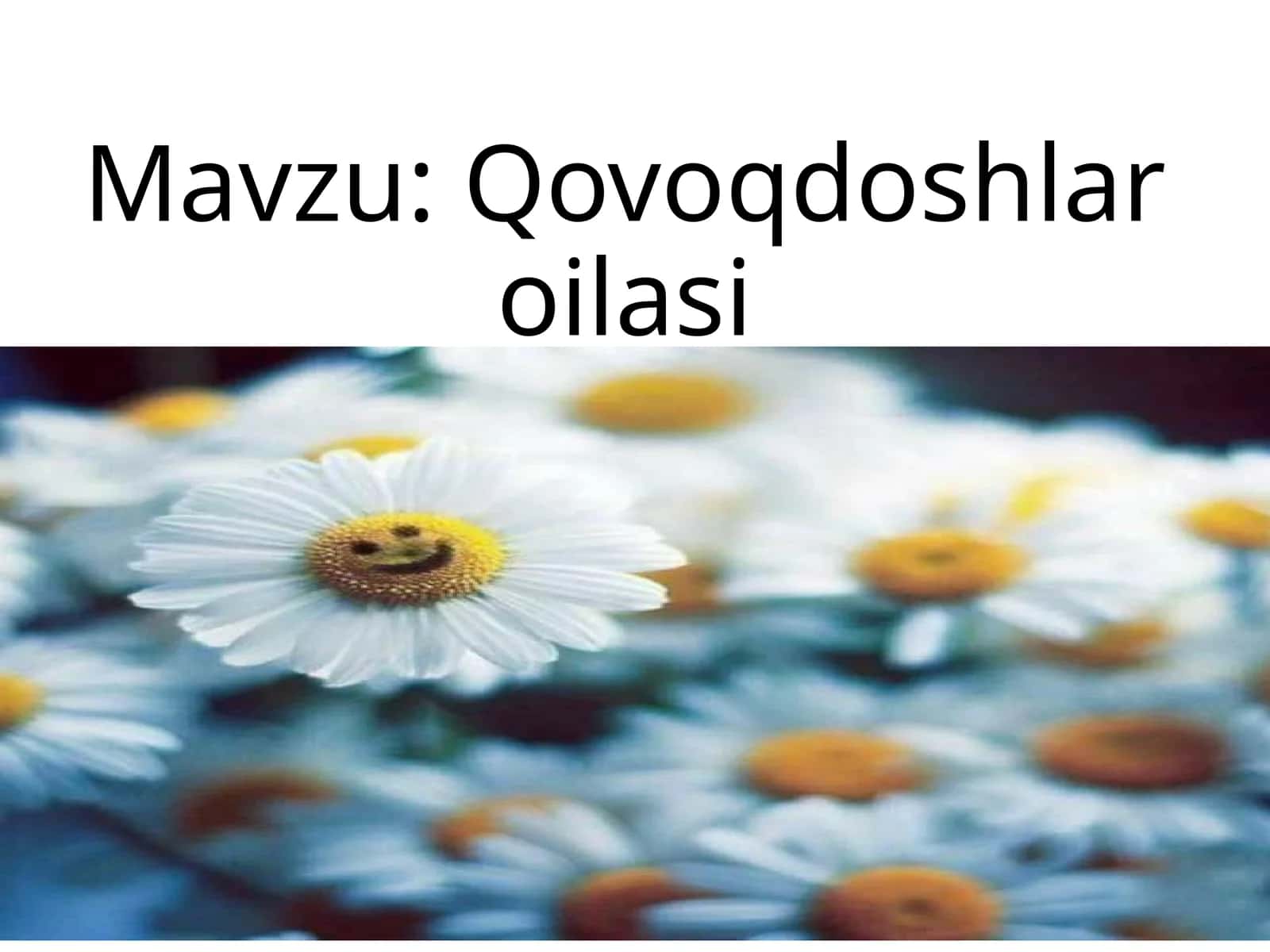 Qovoqdoshlar oilasi 1