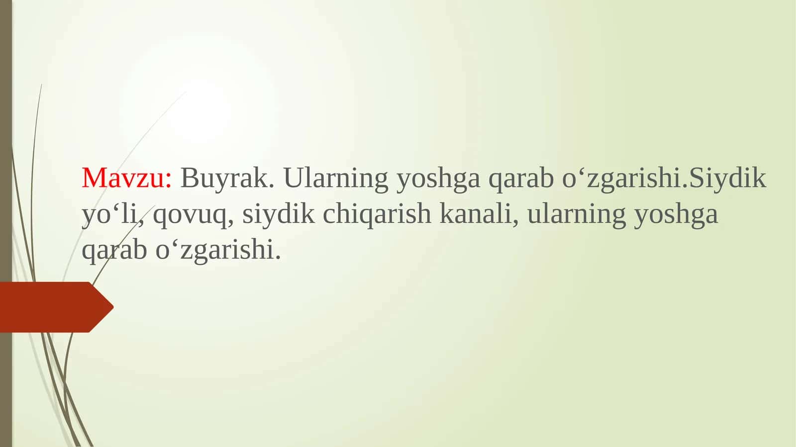 Buyrak.Ularning yoshga qarab o‘zgarishi. Siydik yo‘li, qovuq, siydik chiqarish kanali, ularning yoshga qarab o‘zgarishi 1