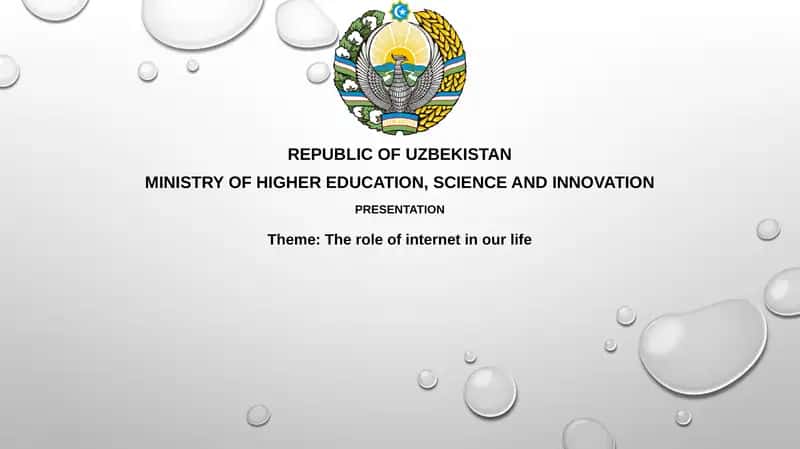 The role of internet in ourlife 1