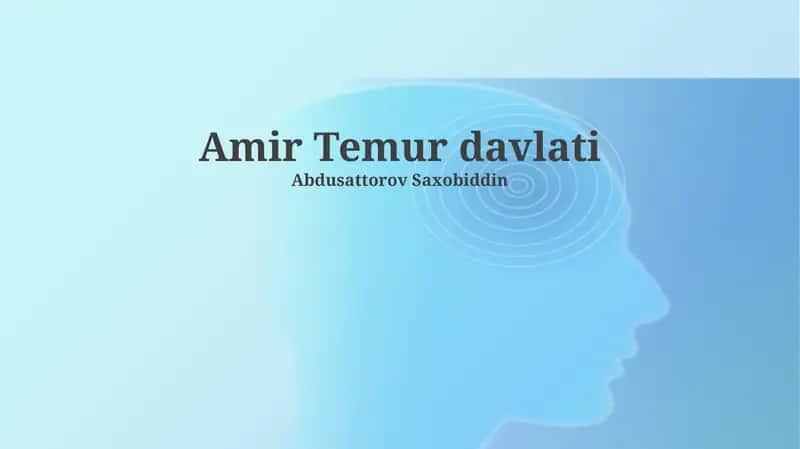 Amir Temur davlati 1