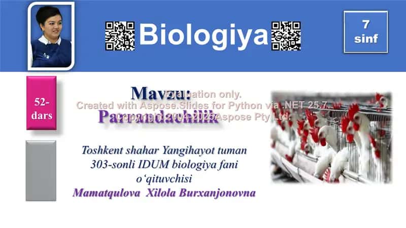 Xonaki Parrandachilik 1