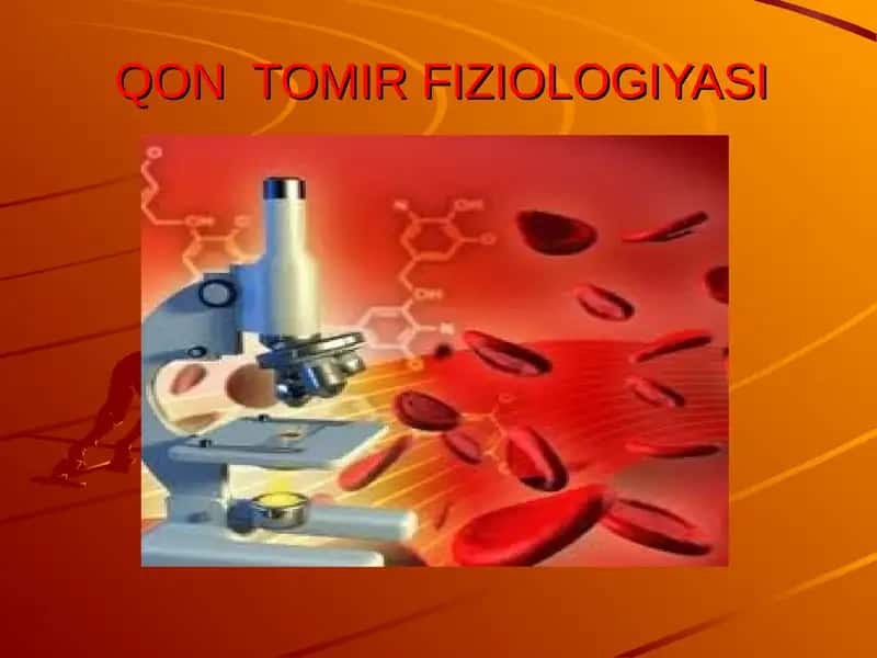 QON TOMIR FIZIOLOGIYASI 1