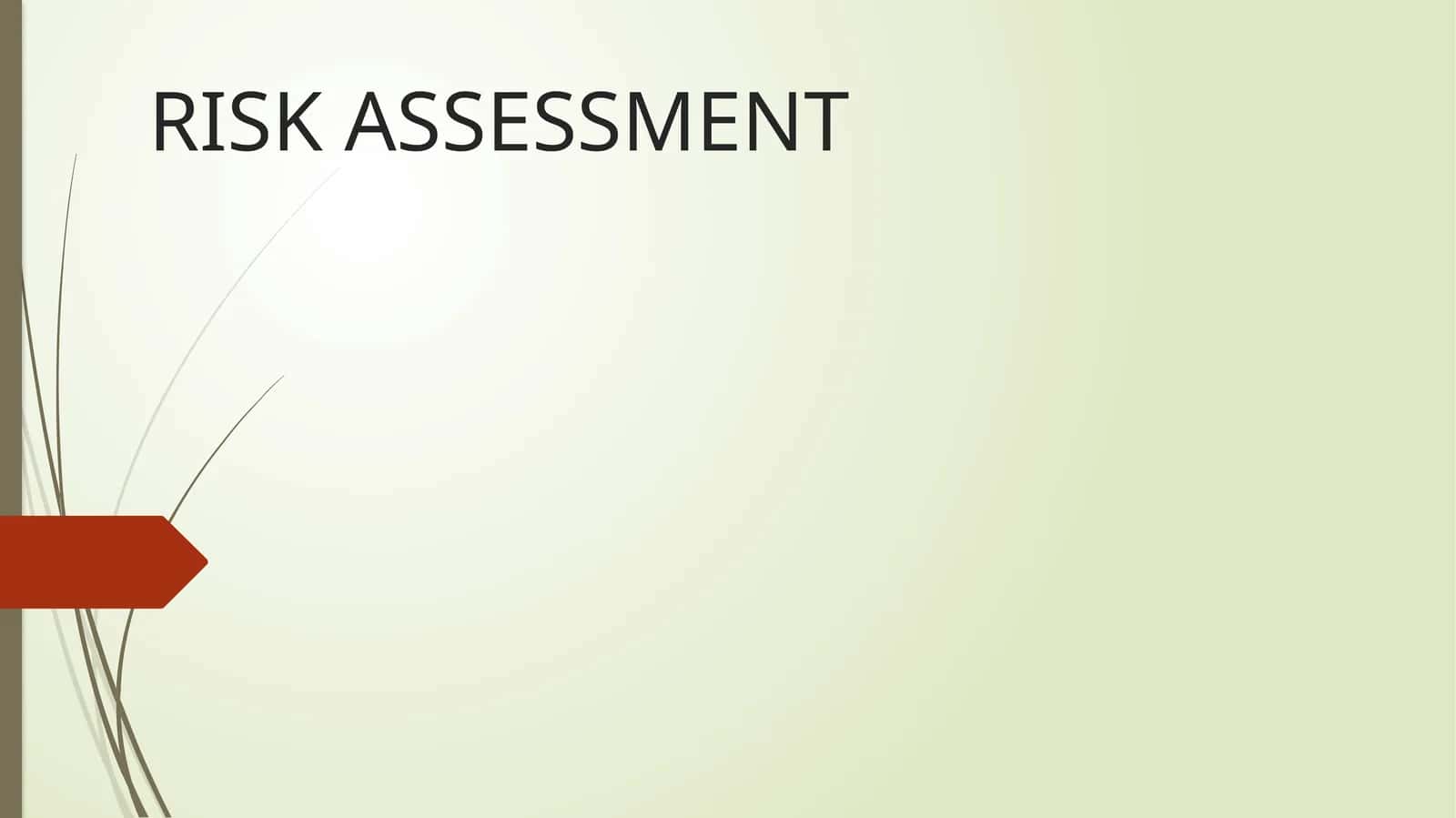 Risk Assessment 1