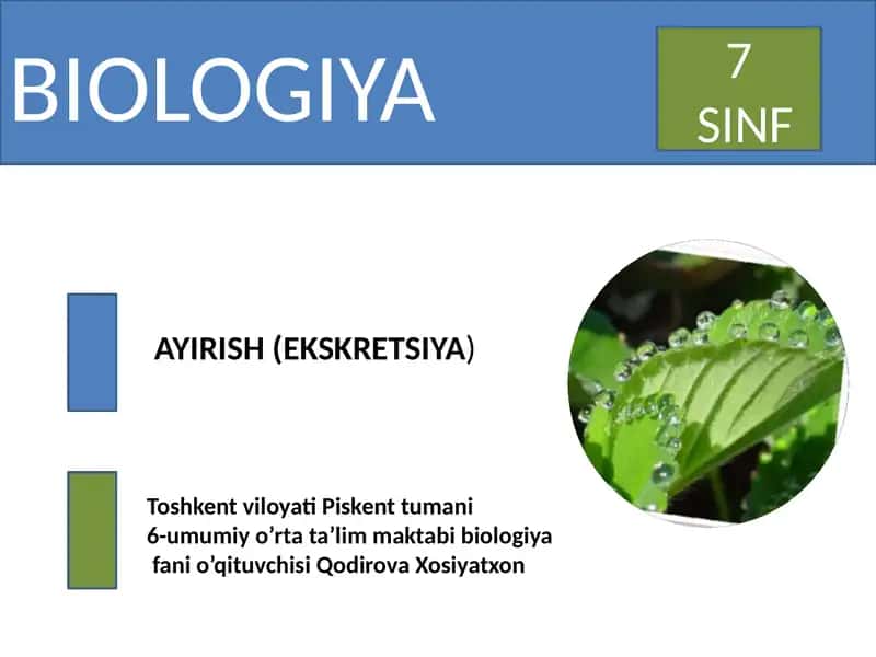 Ayirishning Organizmlar Hayotidagi Ahamiyati 1