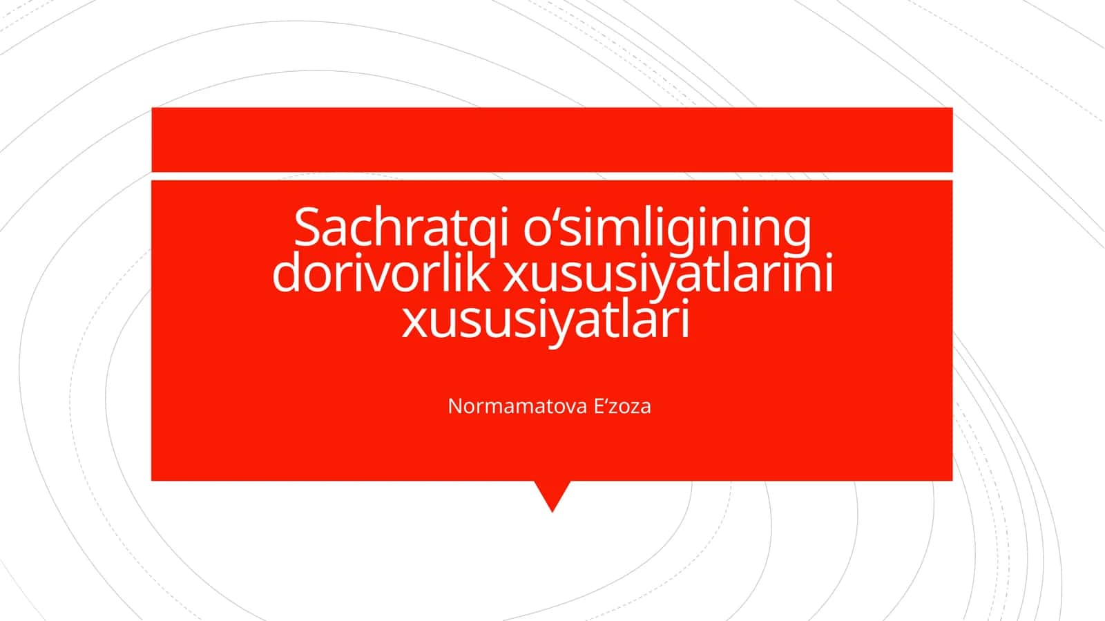Sachratqi o‘simligining dorivorlik xususiyatlarini xususiyatlari 1