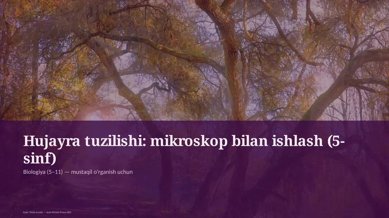 Hujayra tuzilishi: mikroskop bilan ishlash (5-sinf) 1