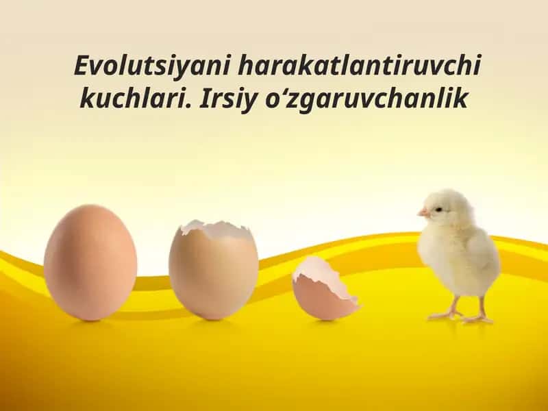 Evolutsiyani harakatlantiruvchi kuchlari. Irsiy o‘zgaruvchanlik 1