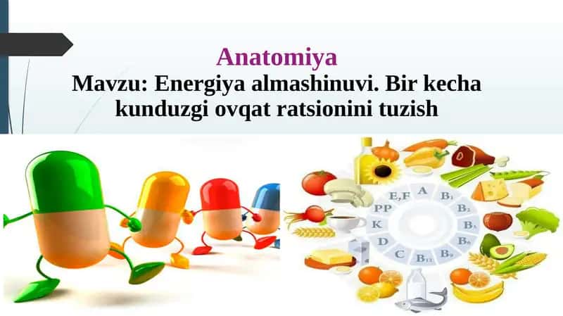 Anatomiya 1