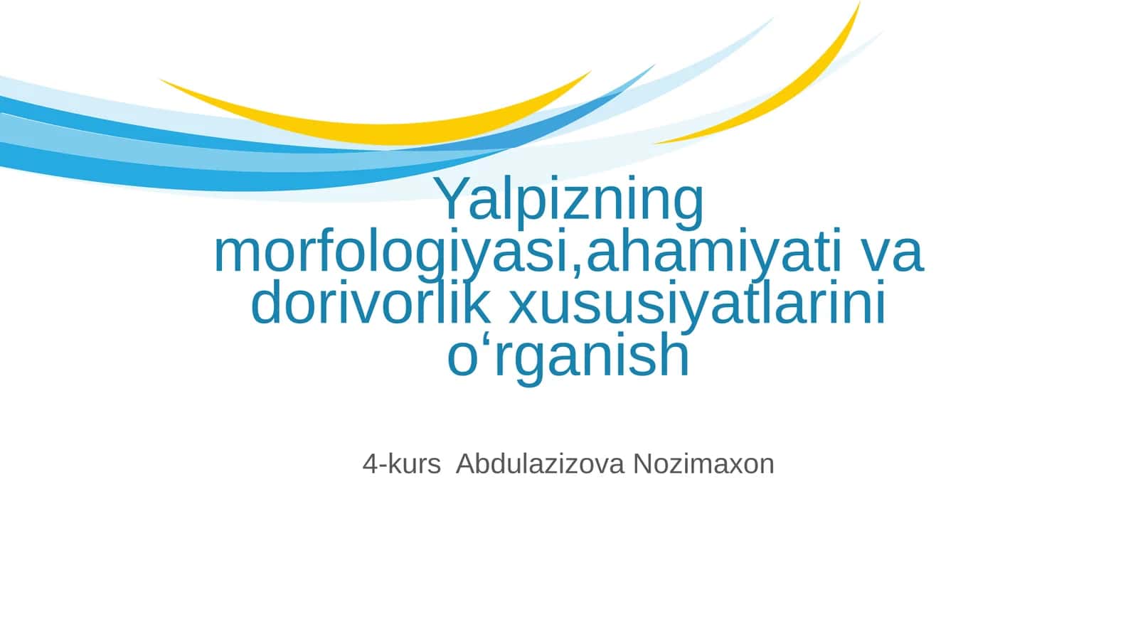 Yalpizning morfologiyasi,ahamiyati va dorivorlik xususiyatlarini oʻrganish 1