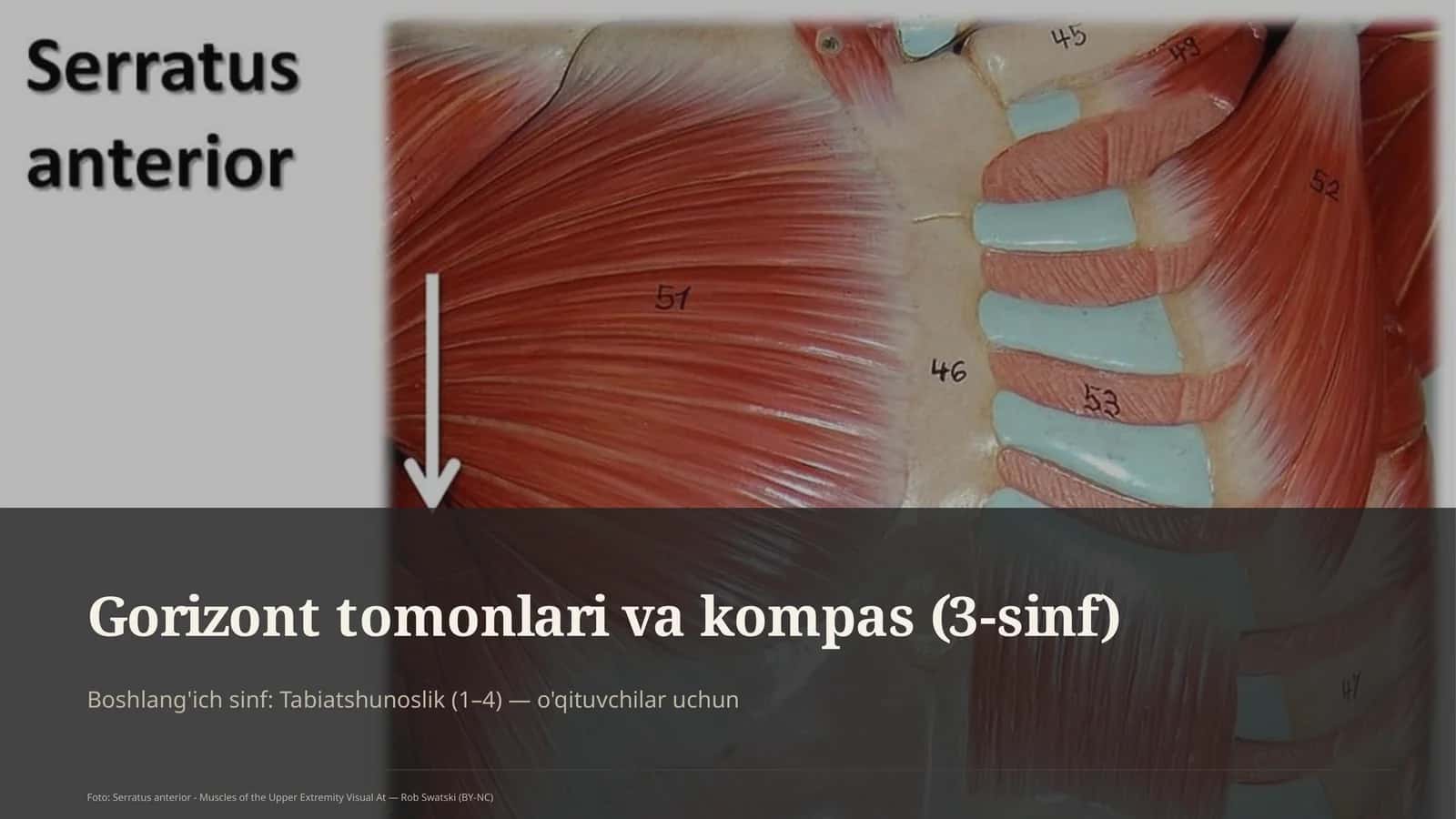 Gorizont tomonlari va kompas (3-sinf) 1