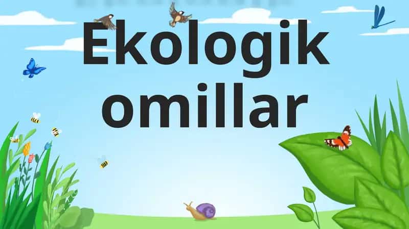 Ekologik omillar 1