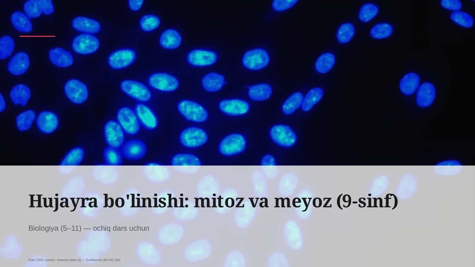 Hujayra bo'linishi: mitoz va meyoz (9-sinf) 1