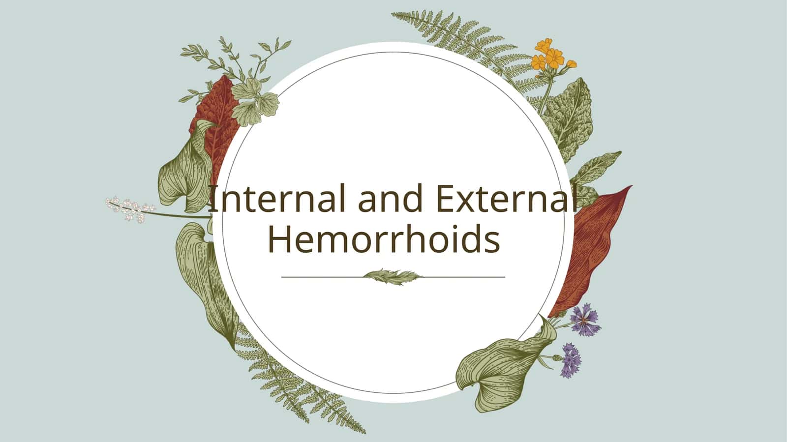 Internal and External Hemorrhoids 1