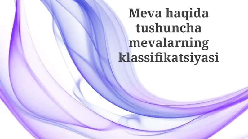 Mevahaqidatushunchamevalarningklassifikatsiyasi 1