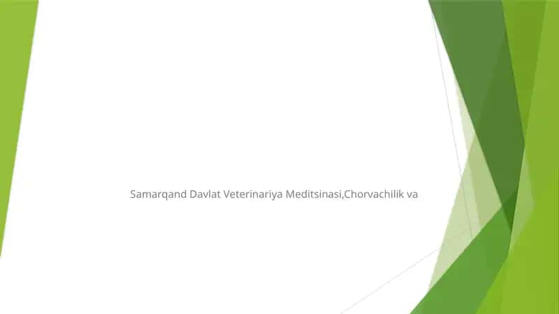 Tuxumdonlar va urug’donlar gistomorfologiyasi 1