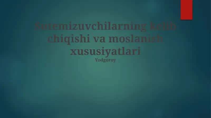 Filtr Oziqlantirishning Evolyutsion Ahamiyati 1