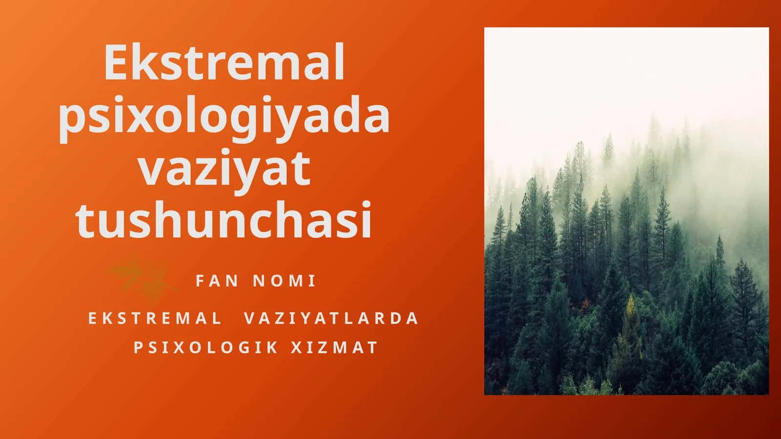 Ekstremal vaziyatlarda psixologik xizmat prezentatsiya 1