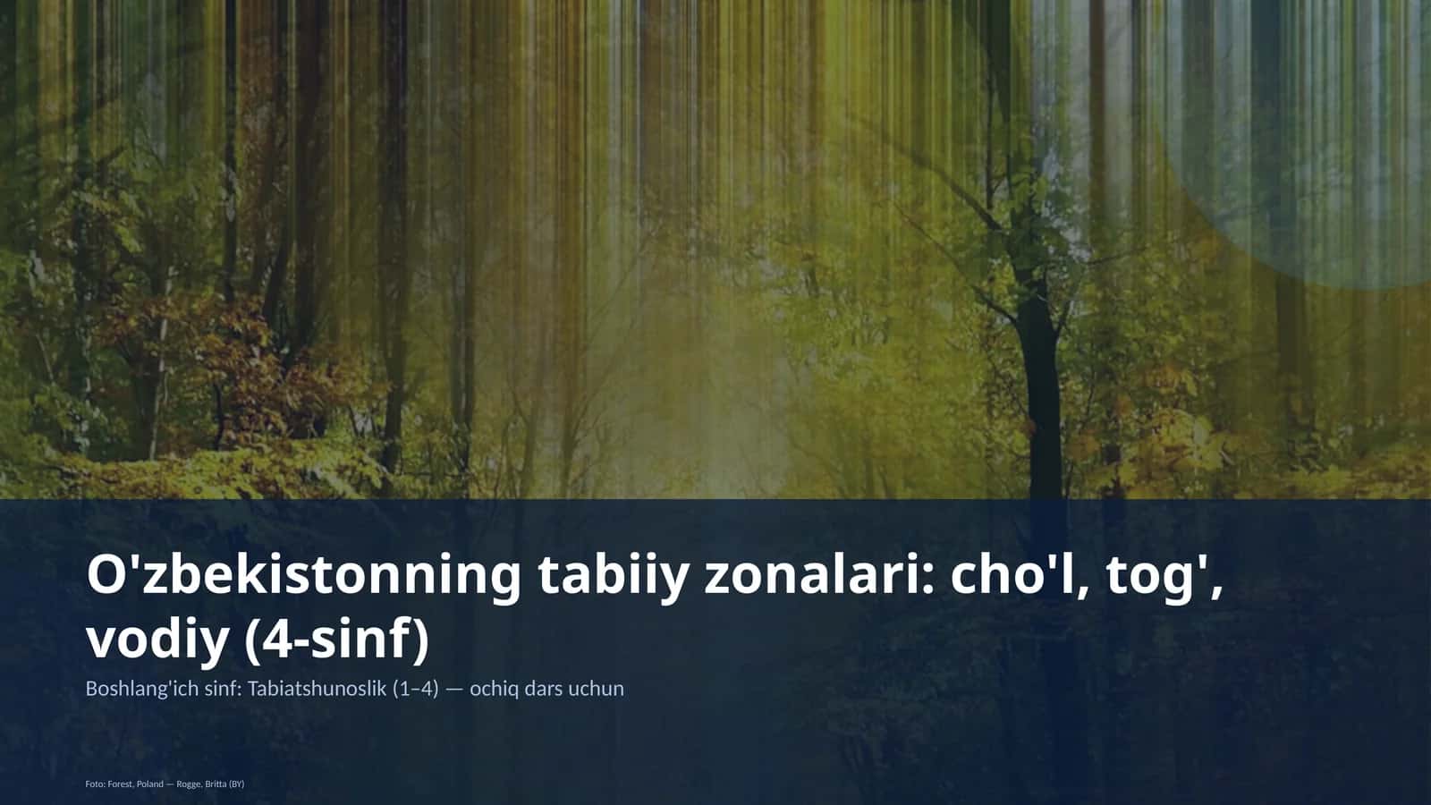 O'zbekistonning tabiiy zonalari: cho'l, tog', vodiy (4-sinf) 1