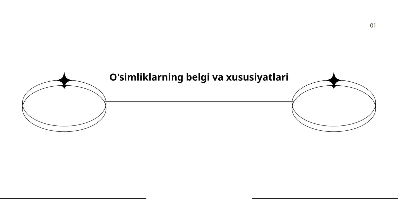 O'simliklarning belgi va xususiyatlari 1