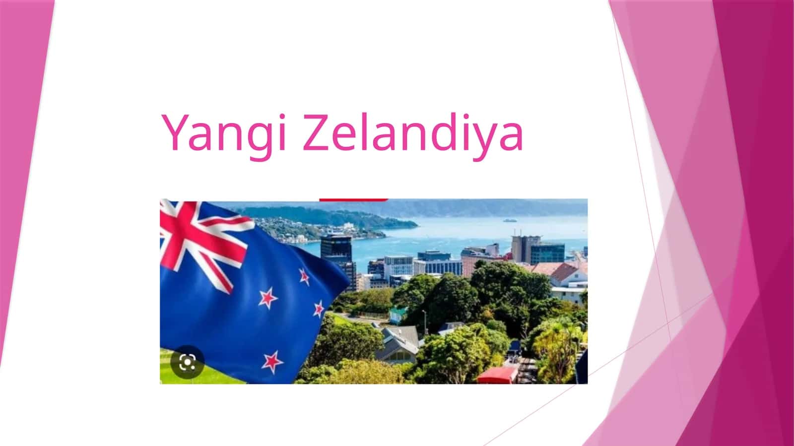 YangiZelandiya 1