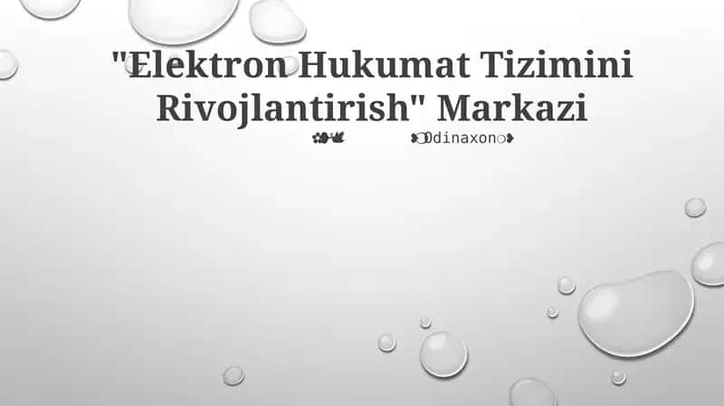 Elektron Hukumat Tizimini Rivojlantirish Markazi 1