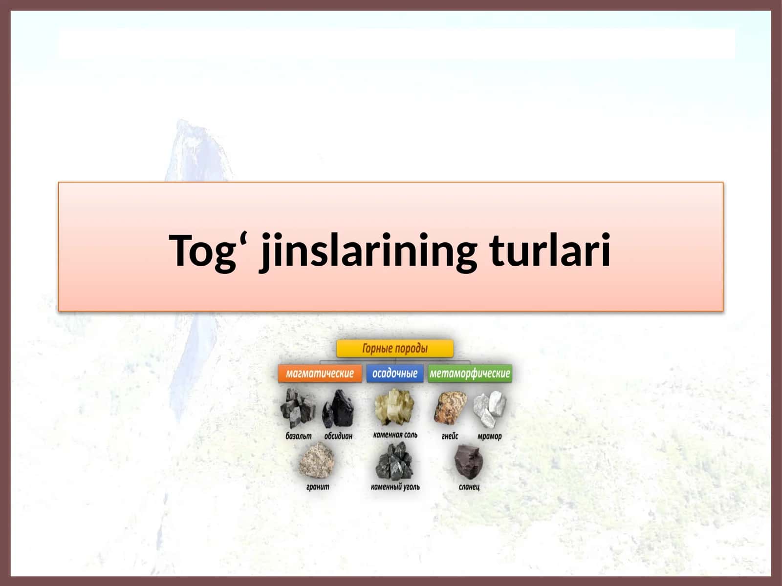 Tog‘jinslarining turlari 1