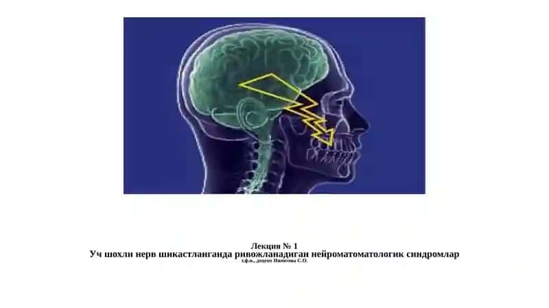 Учшохли нерв 1