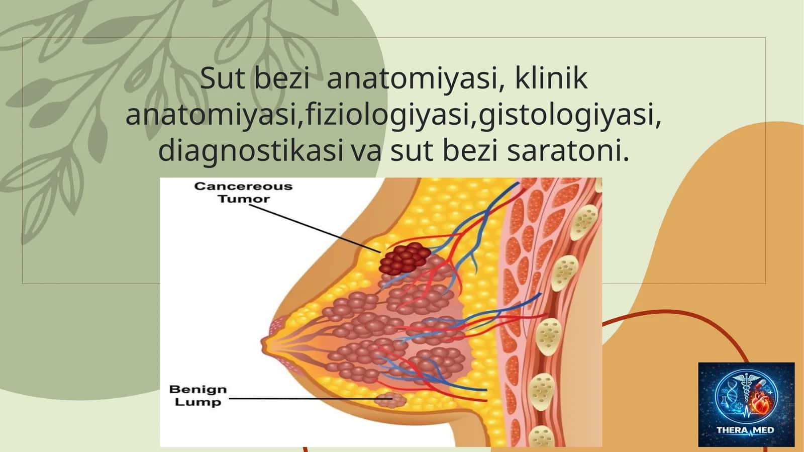 Sut bezi anatomiyasi 1
