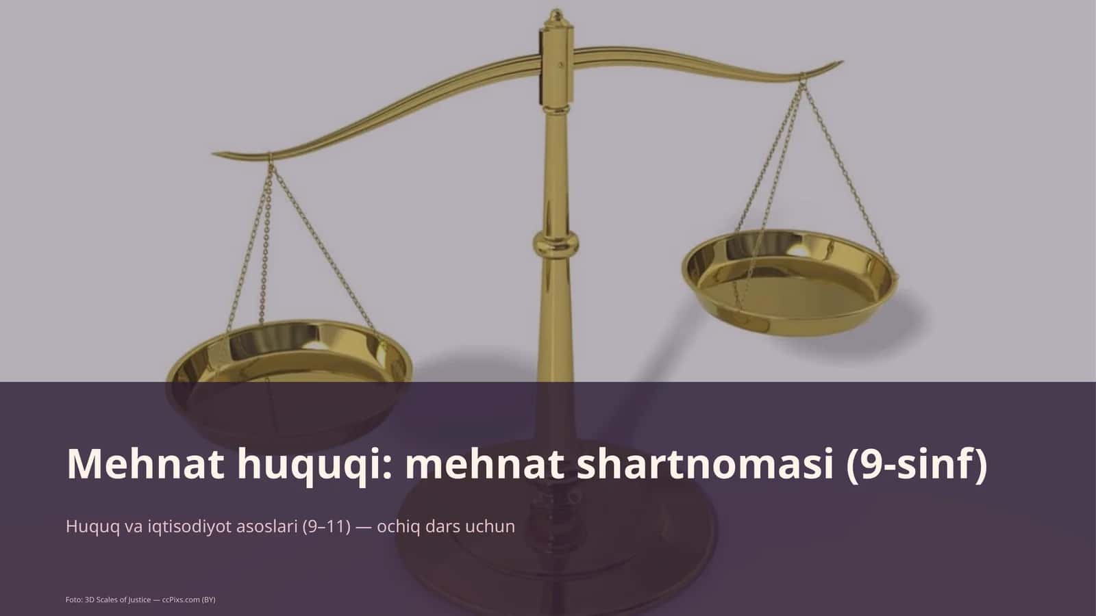 Mehnat huquqi: mehnat shartnomasi (9-sinf) 1