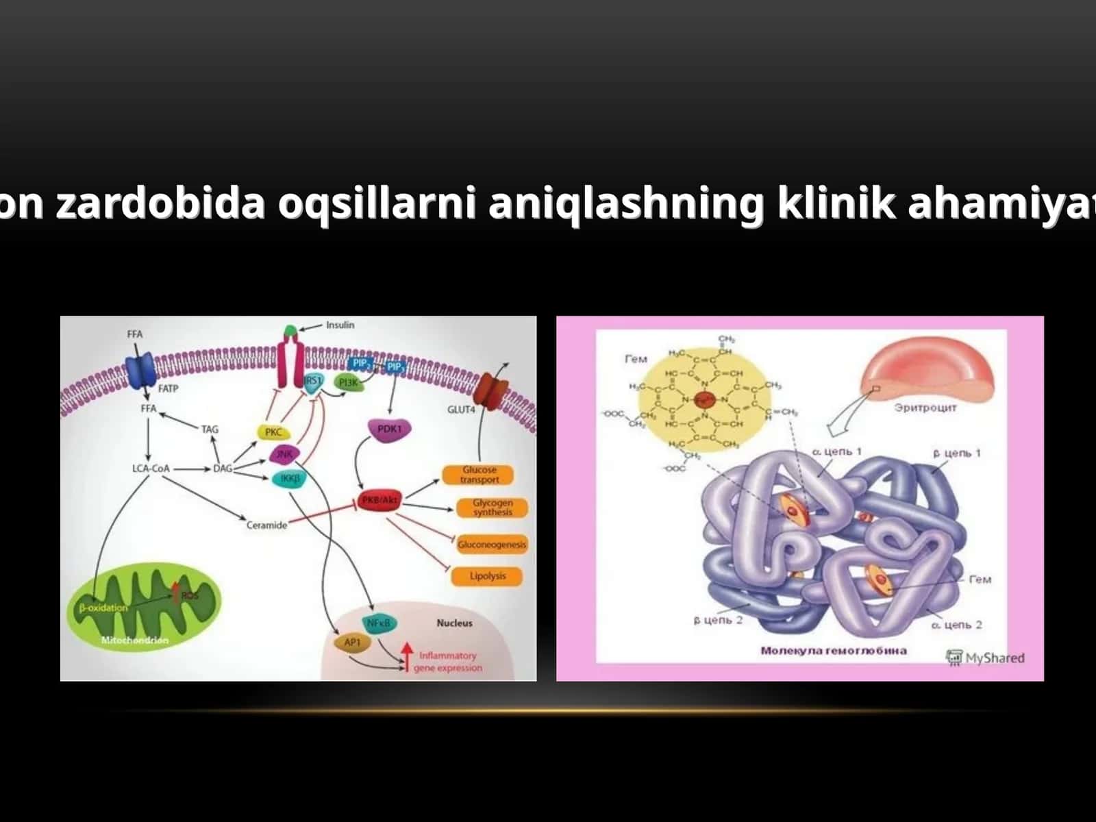Qonzardobidaoqsillarnianiqlashningklinikahamiyati 1