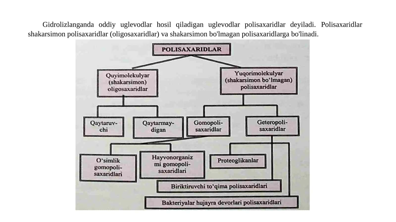 Polisaxaridlar 1