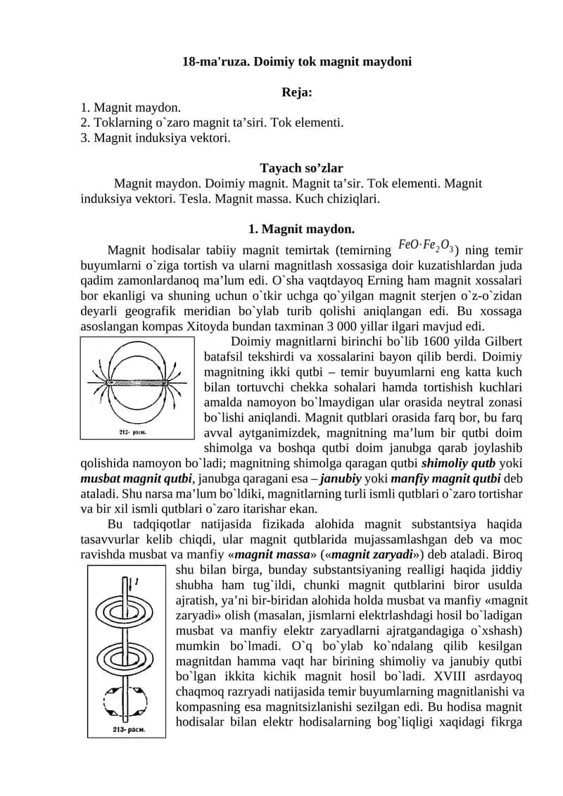 Magnit maydon 1