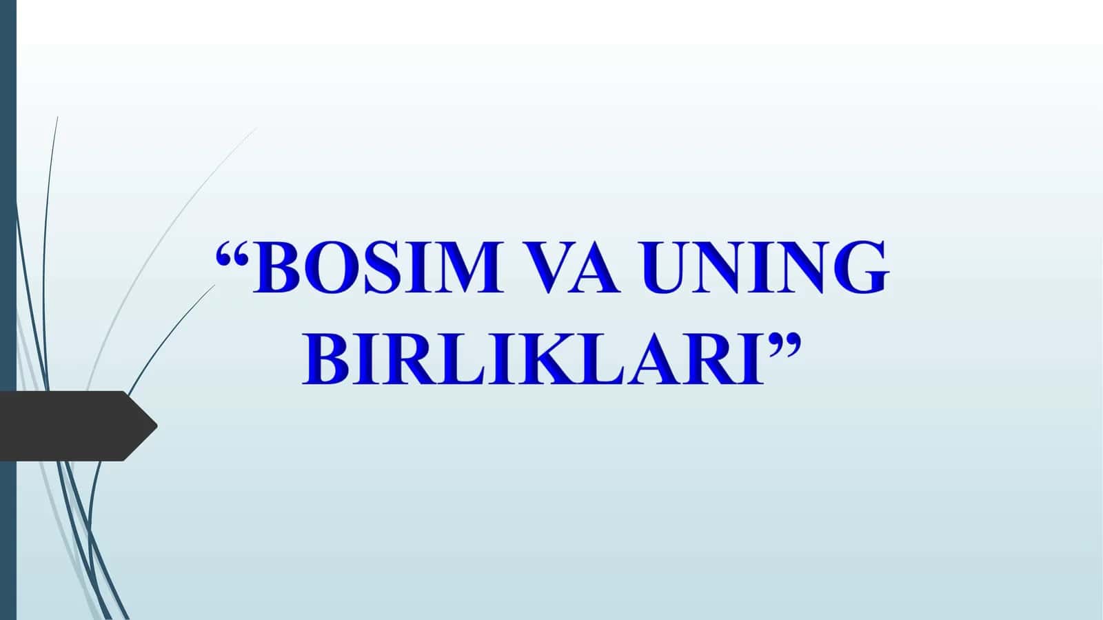 Bosim 1