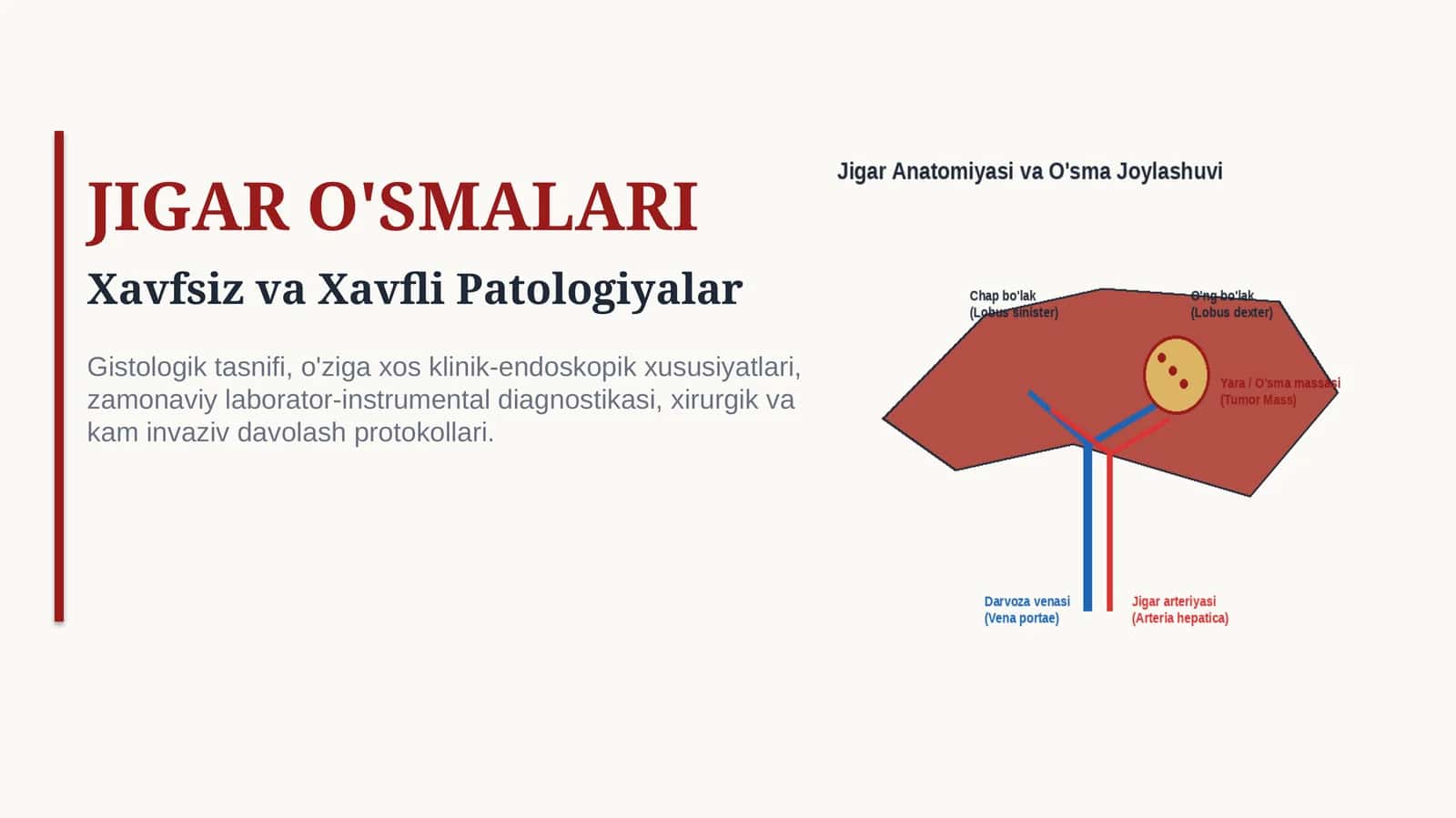 JIGAR O‘SMALARI | 15 SLAYDLI PROFESSIONAL TIBBIY TAQDIMOT 1