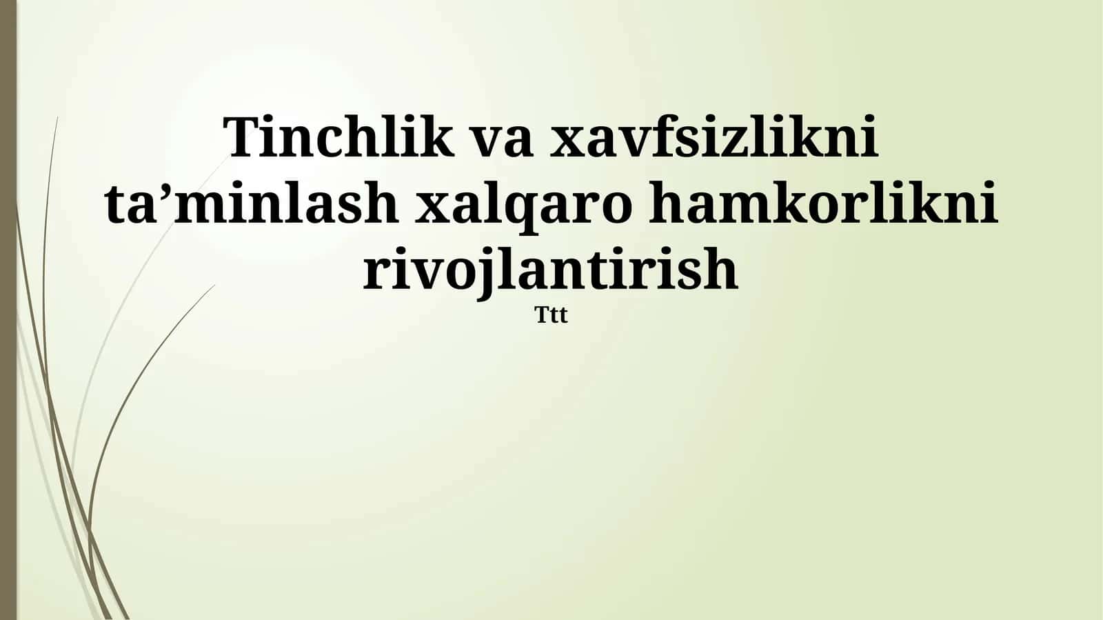Tinchlik va xavfsizlikni ta’minlash xalqaro hamkorlikni rivojlantirish 1
