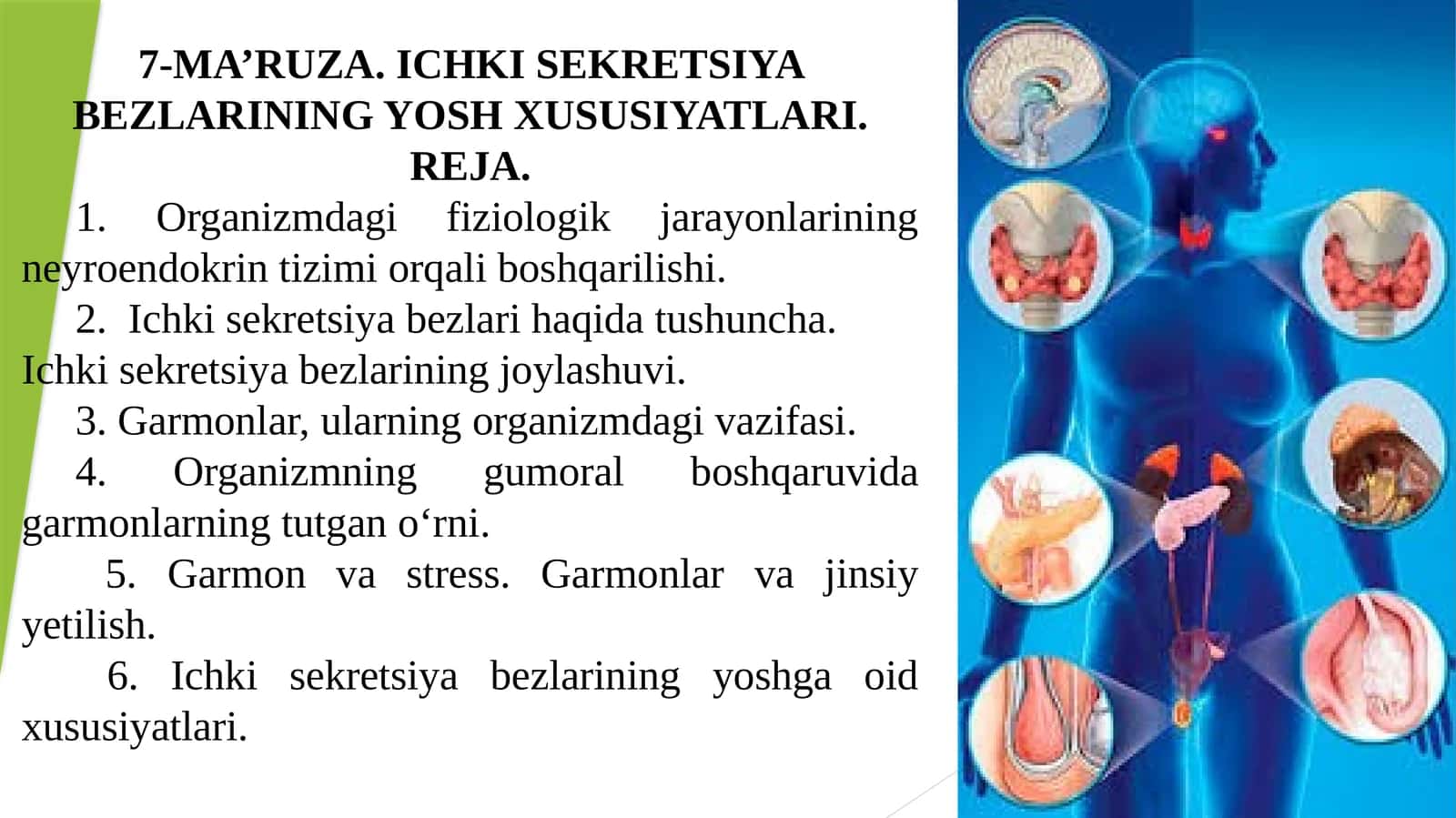 7-MA’RUZA. ICHKI SEKRETSIYA BEZLARINING YOSH XUSUSIYATLARI 1
