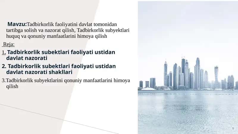 Tadbirkorlik faoliyatini davlat tomonidan tartibga solish va nazorat qilish 1