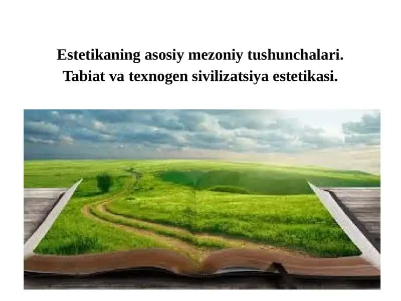 Estetika 1