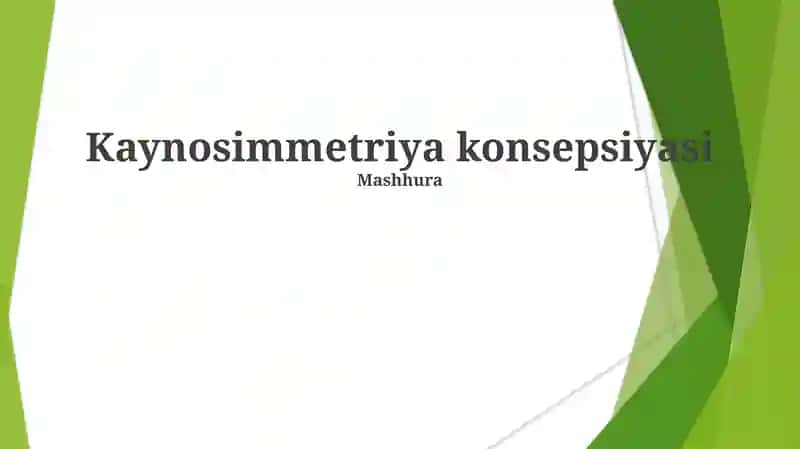 Kaynosimmetriya konsepsiyasi 1