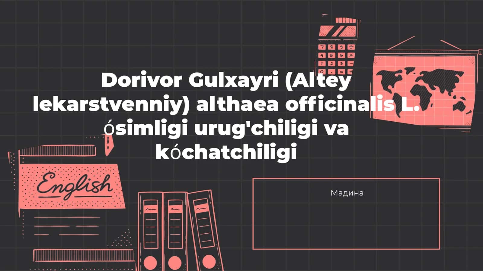 Dorivor Gulxayri (Alteyle karstvenniy) 1