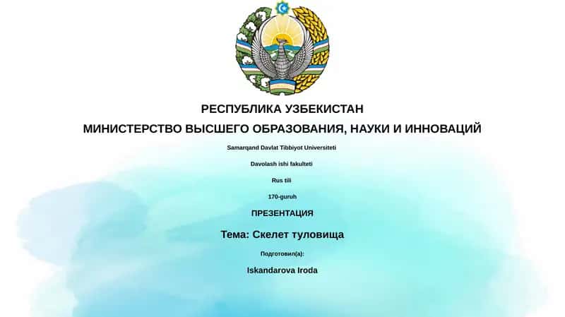 Презентация "Скелет туловища" 1