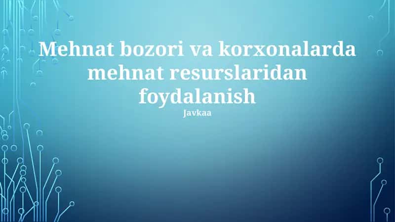 Mehnat bozori va korxonalarda mehnat resurslaridan foydalanish 1