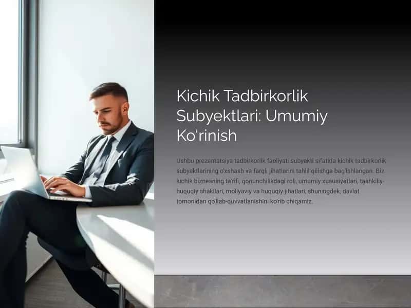 Kichik Tadbirkorlik Subyektlari: Umumiy Ko‘rinish 1