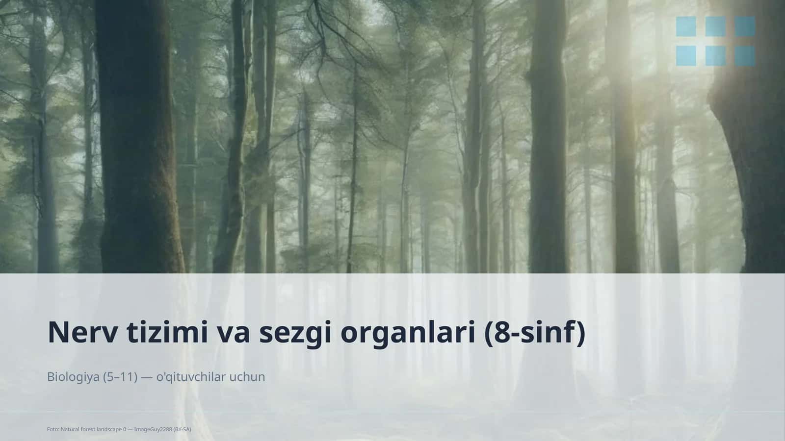 Nerv tizimi va sezgi organlari (8-sinf) 1