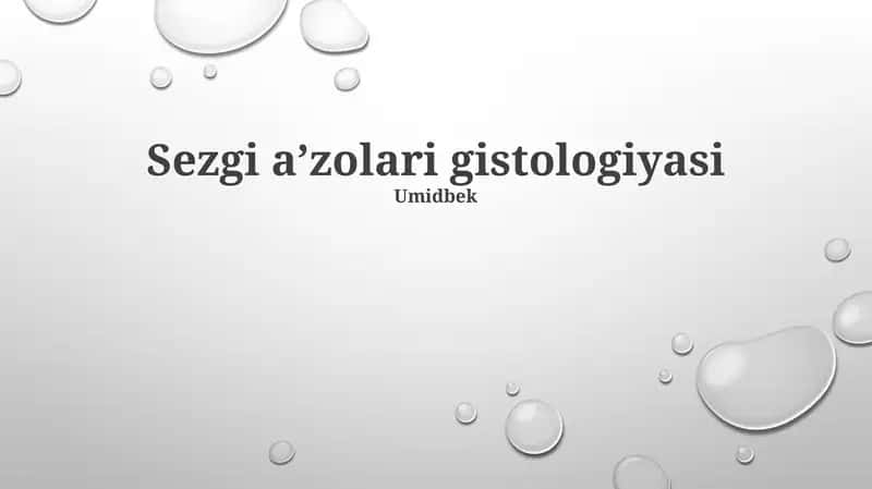 Gangliy hujayra gistologiyasi 1
