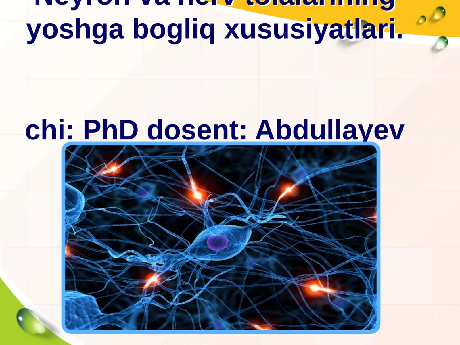 Neyron va nerv tolalarining yoshga bogliq xususiyatlari.chi 1