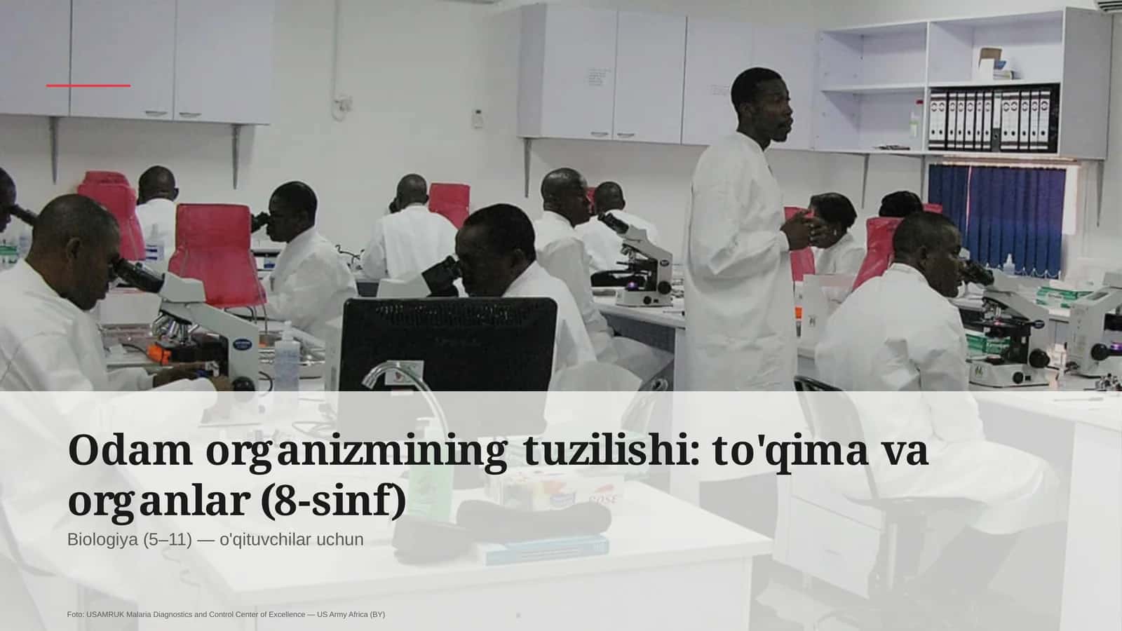 Odam organizmining tuzilishi: to'qima va organlar (8-sinf) 1