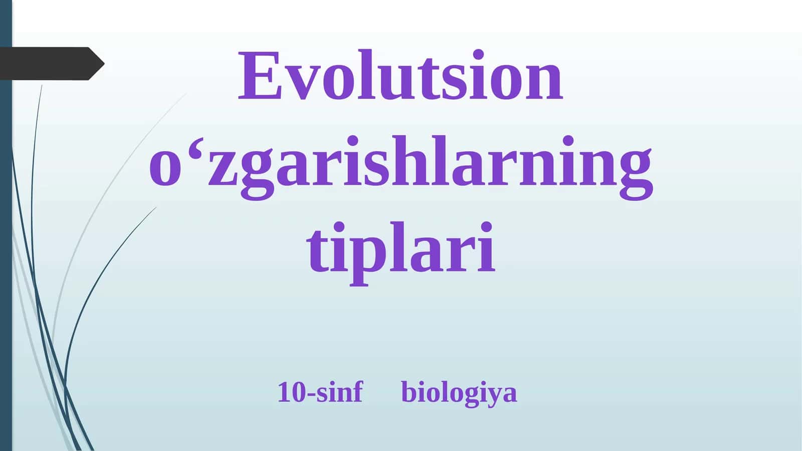 Evolutsion o‘zgarishlarning tiplari 1