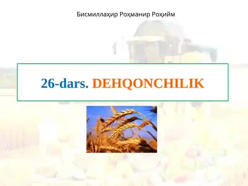DEHQONCHILIK 1